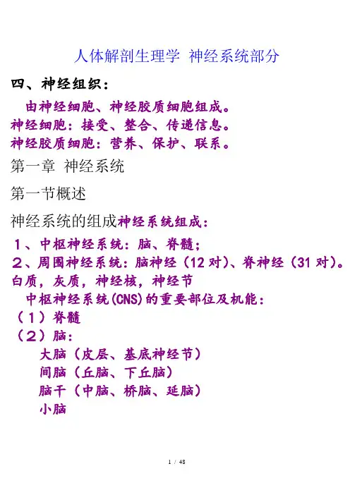 神经系统-笔记