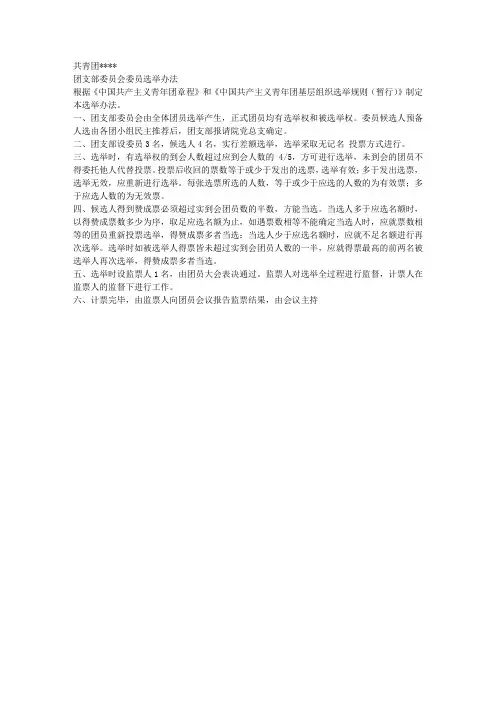 共青团选举办法