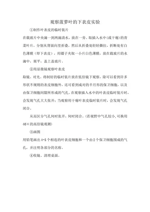 观察菠萝叶的下表皮实验