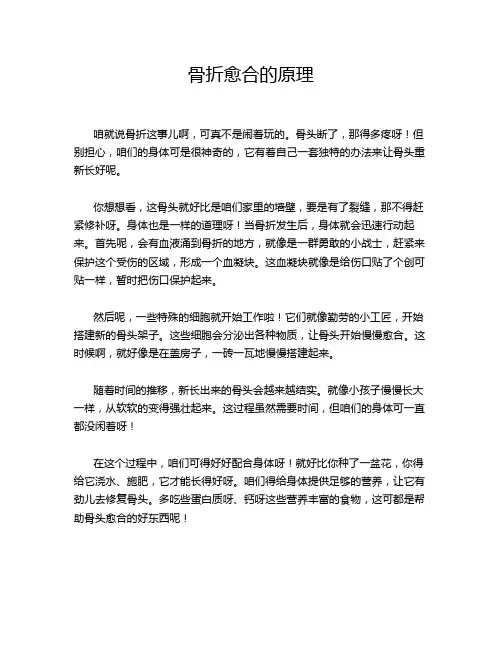 骨折愈合的原理
