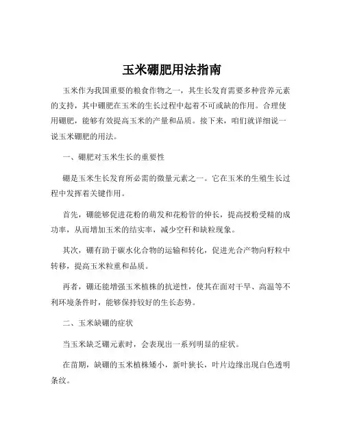 玉米硼肥用法指南