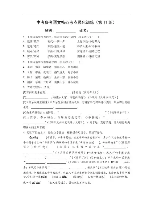 中考备考语文核心考点强化训练(第11练)含答案与解析