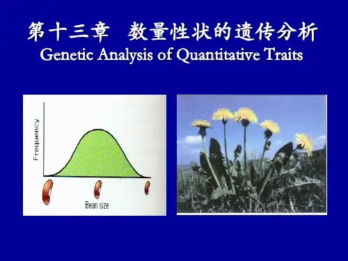 第十三章   数量性状资料