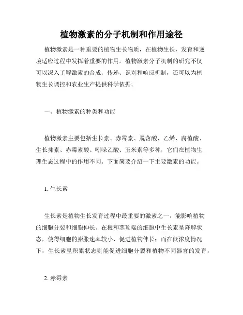 植物激素的分子机制和作用途径
