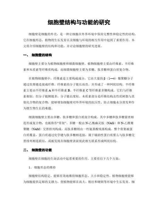 细胞壁结构与功能的研究
