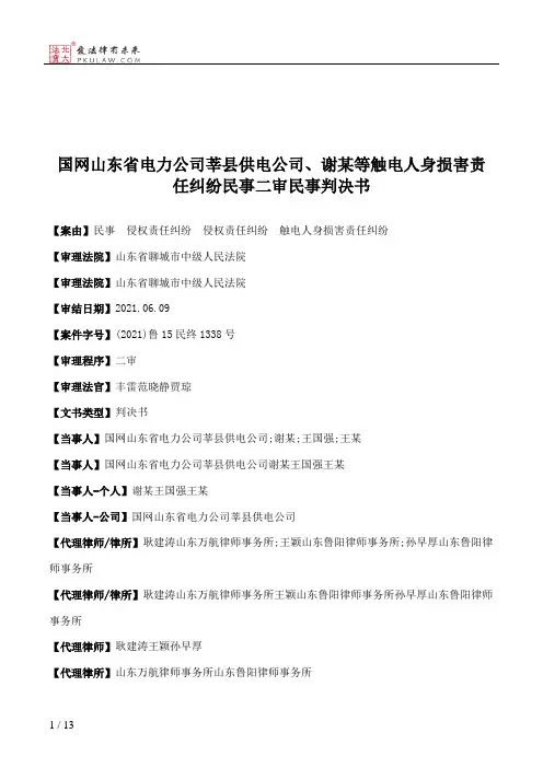 国网山东省电力公司莘县供电公司、谢某等触电人身损害责任纠纷民事二审民事判决书