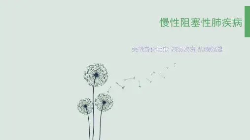 慢性阻塞性肺疾病健康教育ppt课件