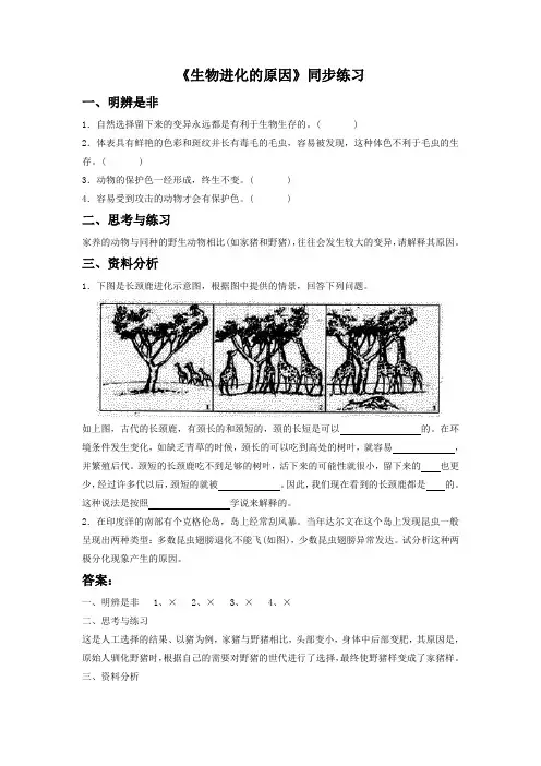冀教版生物八年级下册 第六单元第三章第二节《二、生物进化的原因》同步练习3
