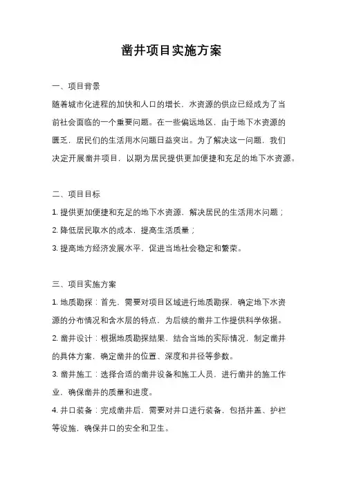 凿井项目实施方案