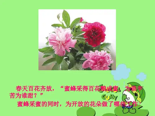 传粉与受精ppt 济南版