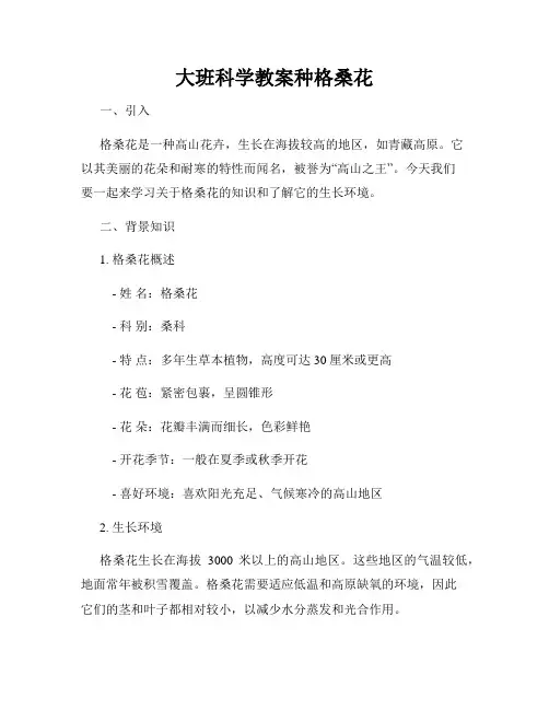 大班科学教案种格桑花