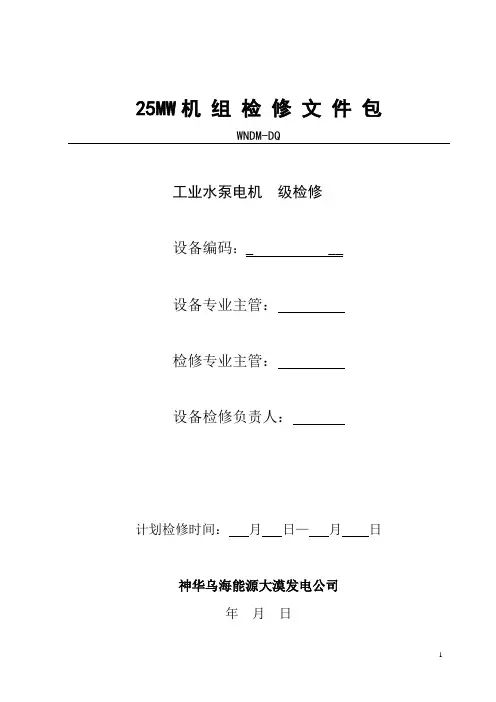 工业水泵电机检修文件包