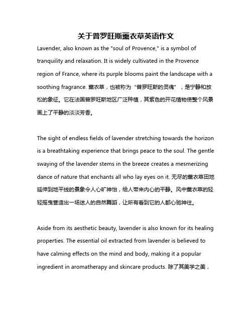 关于普罗旺斯薰衣草英语作文