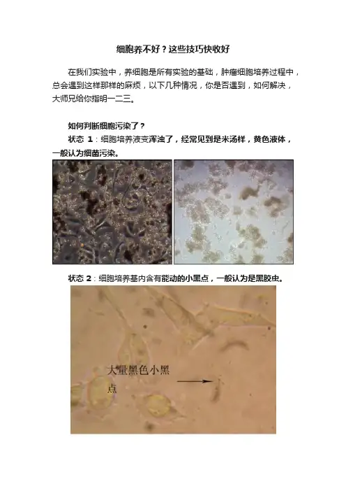 细胞养不好？这些技巧快收好