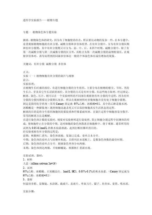 植物有丝分裂实验报告