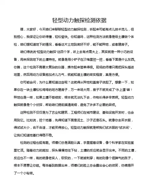 轻型动力触探检测依据