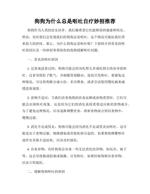 狗狗为什么总是呕吐自疗妙招推荐