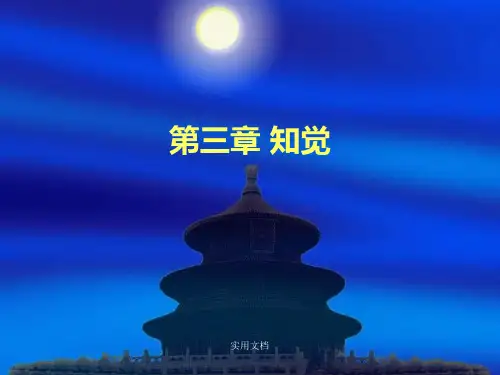 普通心理学 第三章 知觉