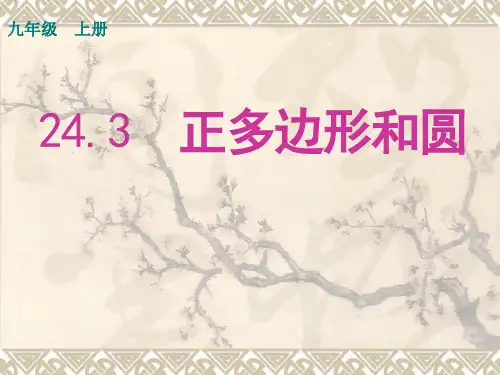 243正多边形和圆