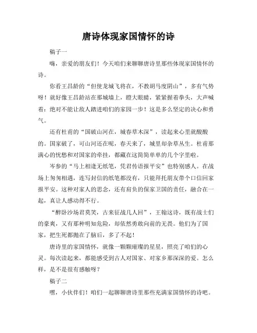 唐诗体现家国情怀的诗