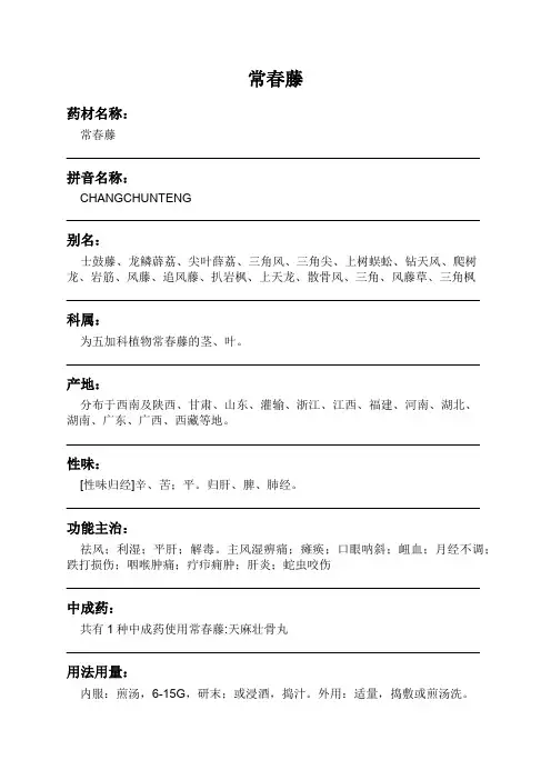 常春藤中药材详细说明书