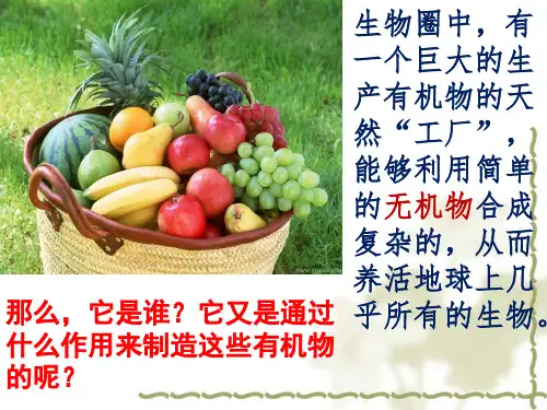 《绿色植物是生物圈中有机物的制造者》_人教新课标版PPT课件