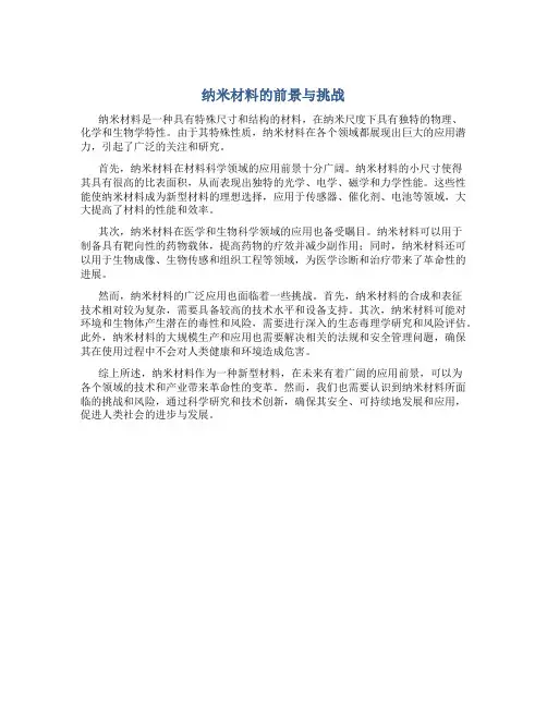  纳米材料的前景与挑战