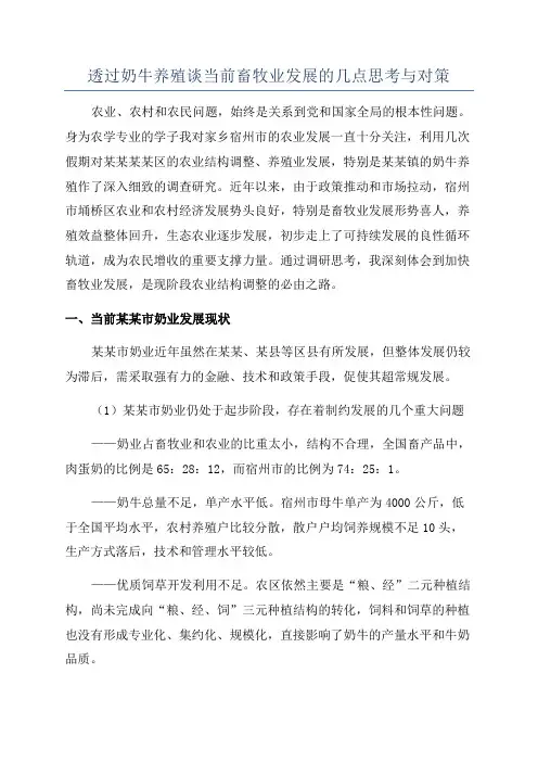 透过奶牛养殖谈当前畜牧业发展的几点思考与对策