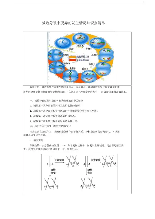 (完整版)解析减数分裂中的变异情况.doc