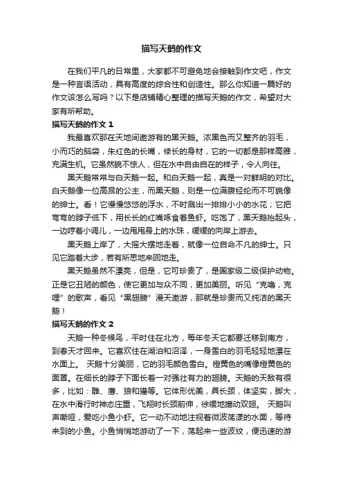 描写天鹅的作文