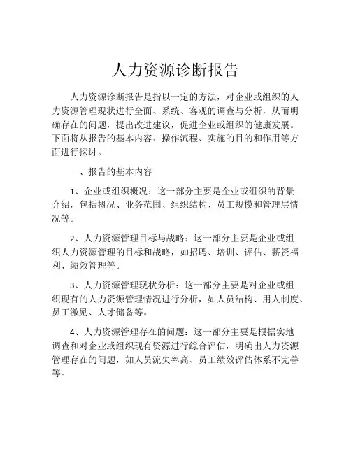 人力资源诊断报告