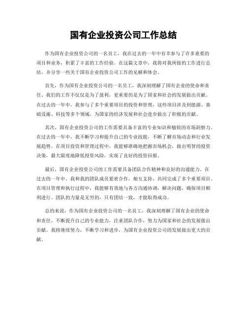 国有企业投资公司工作总结