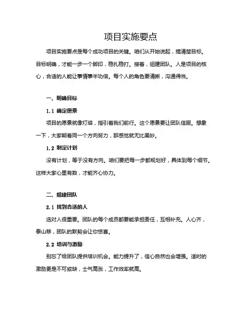 项目实施要点
