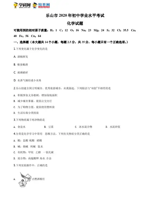 四川省乐山市2020年中考化学试题(原卷版)