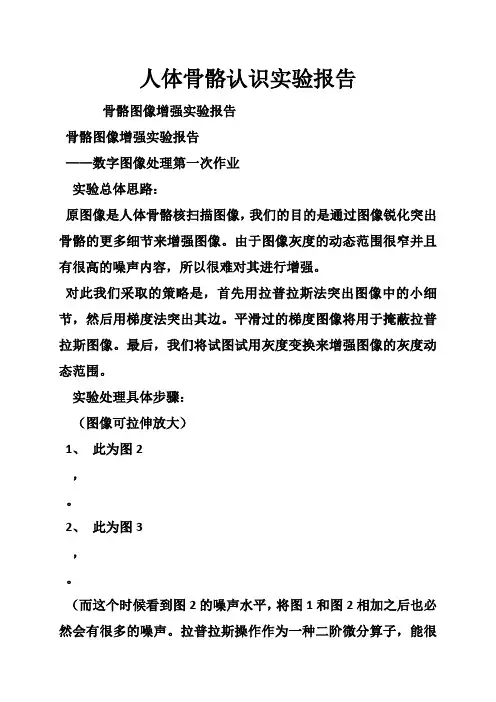人体骨骼认识实验报告