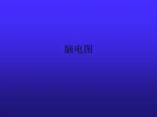 脑电图PPT课件