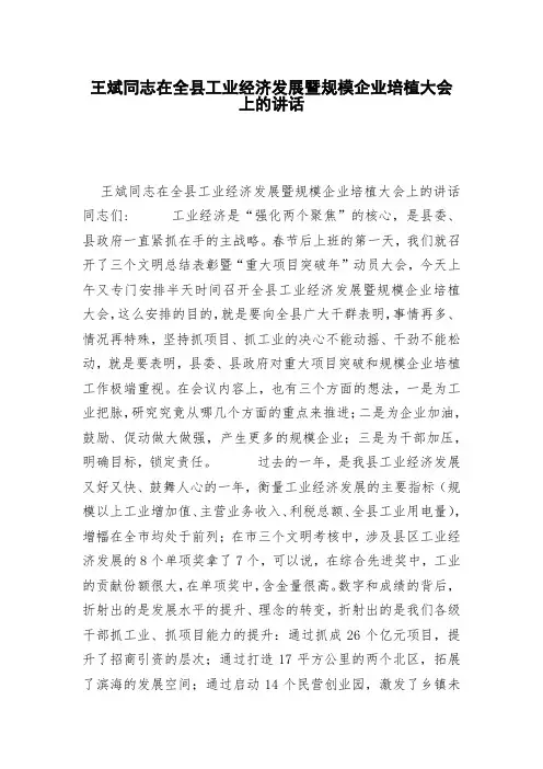 王斌同志在全县工业经济发展暨规模企业培植大会上的讲话