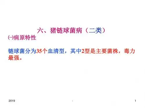 细菌病链球菌ppt课件