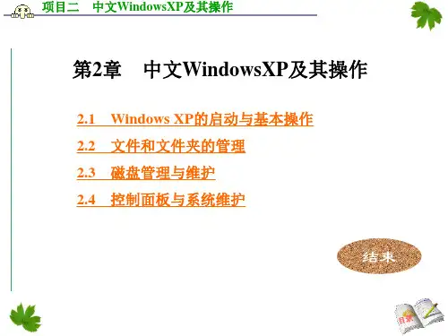 计算机信息技术基础与实训教程