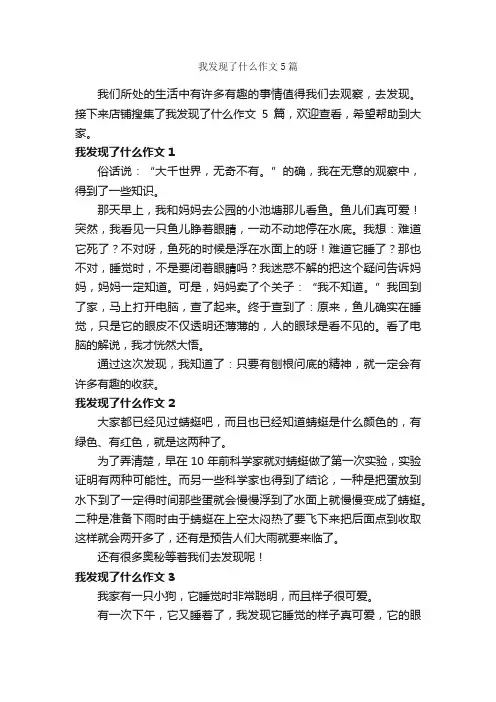 我发现了什么作文5篇