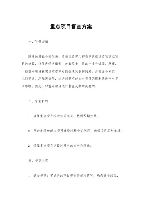 重点项目督查方案