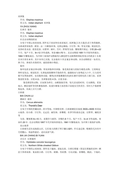 亚洲象习性