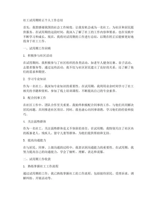 社工试用期转正个人工作总结