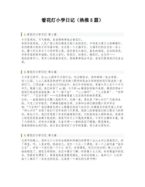 看花灯小学日记(热推5篇)