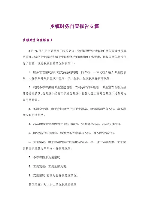 乡镇财务自查报告6篇