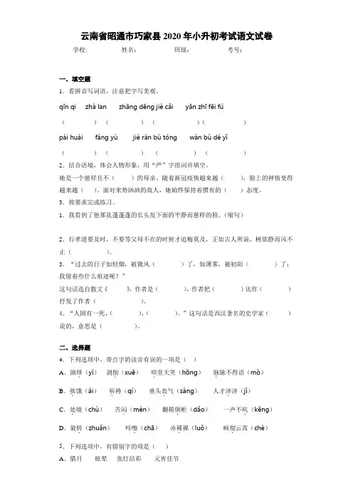 云南省昭通市巧家县2020年小升初考试语文试卷(答案解析)