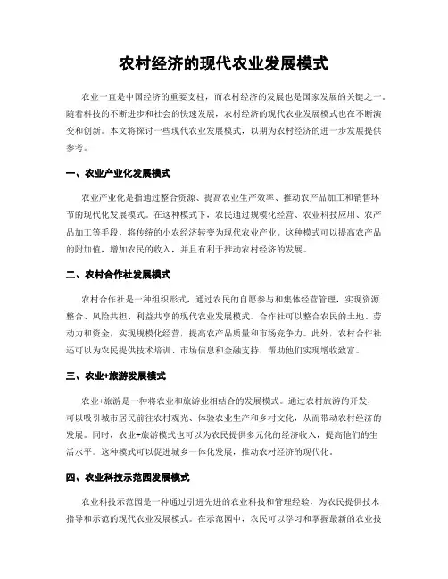 农村经济的现代农业发展模式