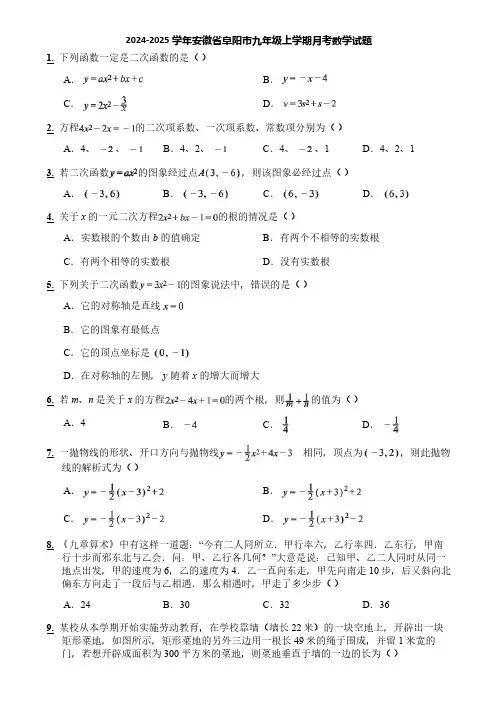 2024-2025学年安徽省阜阳市九年级上学期月考数学试题