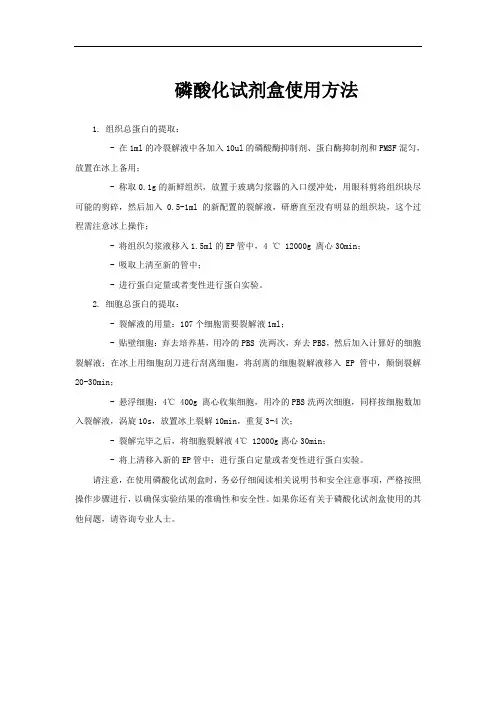 磷酸化试剂盒使用方法