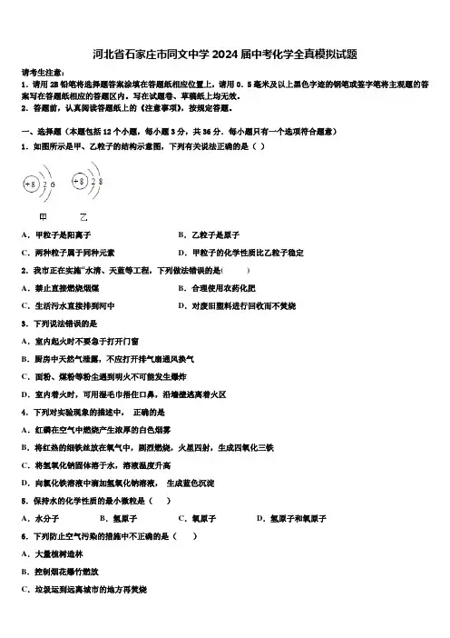 河北省石家庄市同文中学2024届中考化学全真模拟试题含解析